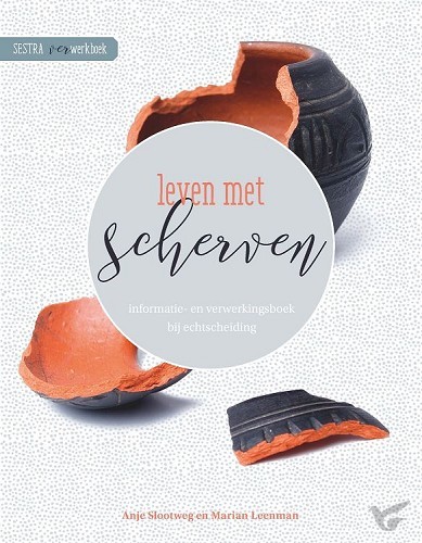 Productafbeelding: voorkant van Leven met scherven