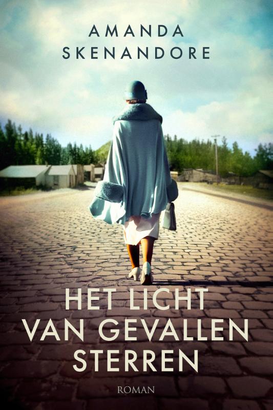 Productafbeelding: voorkant van Het licht van gevallen sterren