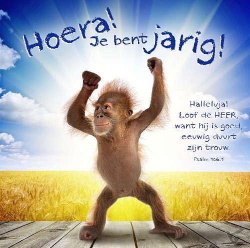 Productafbeelding: voorkant van Kaart m env hoera je bent jarig