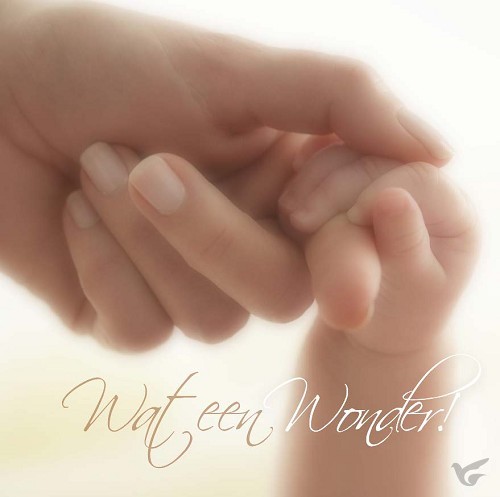 Productafbeelding: voorkant van Kaart m env wat een wonder