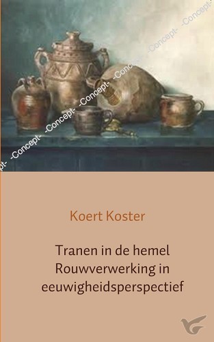 Productafbeelding: voorkant van Tranen in de hemel