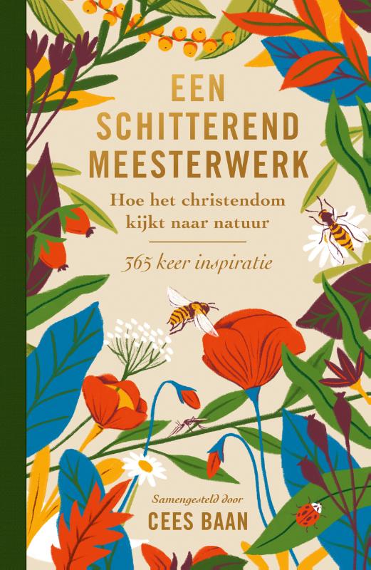 Productafbeelding: voorkant van Een schitterend meesterwerk