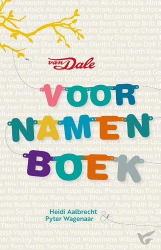 Productafbeelding: voorkant van Van Dale Voornamenboek