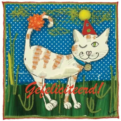 Productafbeelding: voorkant van Ek + envelop gefeliciteerd poes