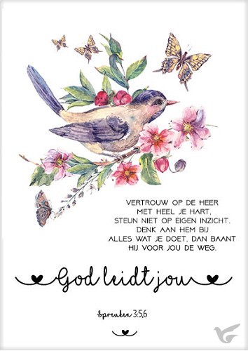 Productafbeelding: voorkant van Kaart God leidt jou