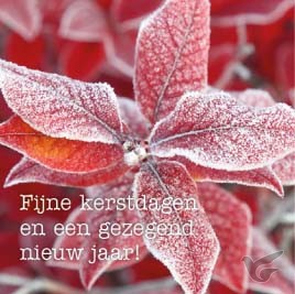 Productafbeelding: voorkant van Kerstkaart winterblad fijne kerstdagen