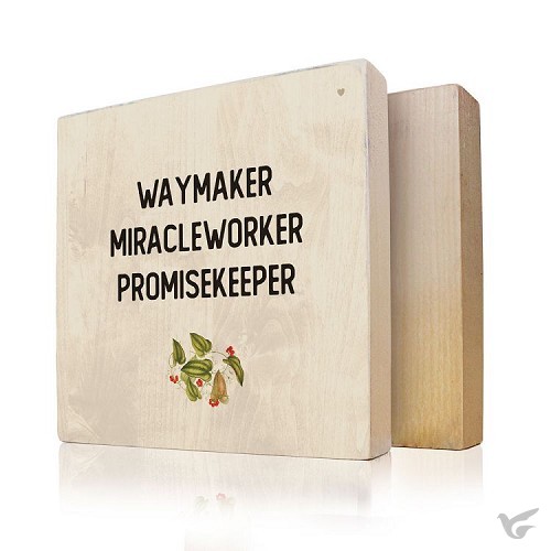 Productafbeelding: voorkant van Waymaker