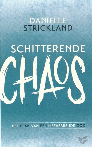 Productafbeelding: voorkant van Schitterende chaos
