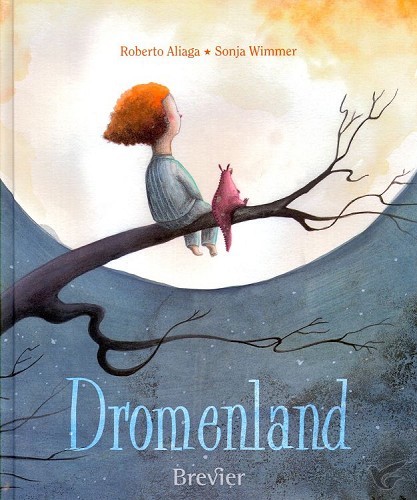 Productafbeelding: voorkant van Dromenland
