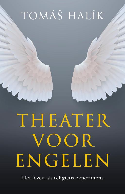Productafbeelding: voorkant van Theater voor engelen