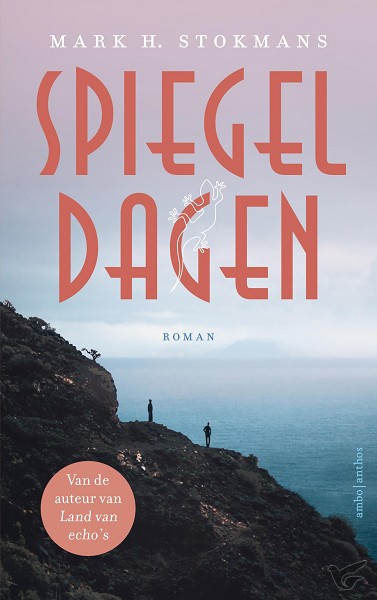 Productafbeelding: voorkant van Spiegeldagen