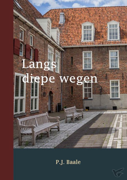 Productafbeelding: voorkant van Langs diepe wegen