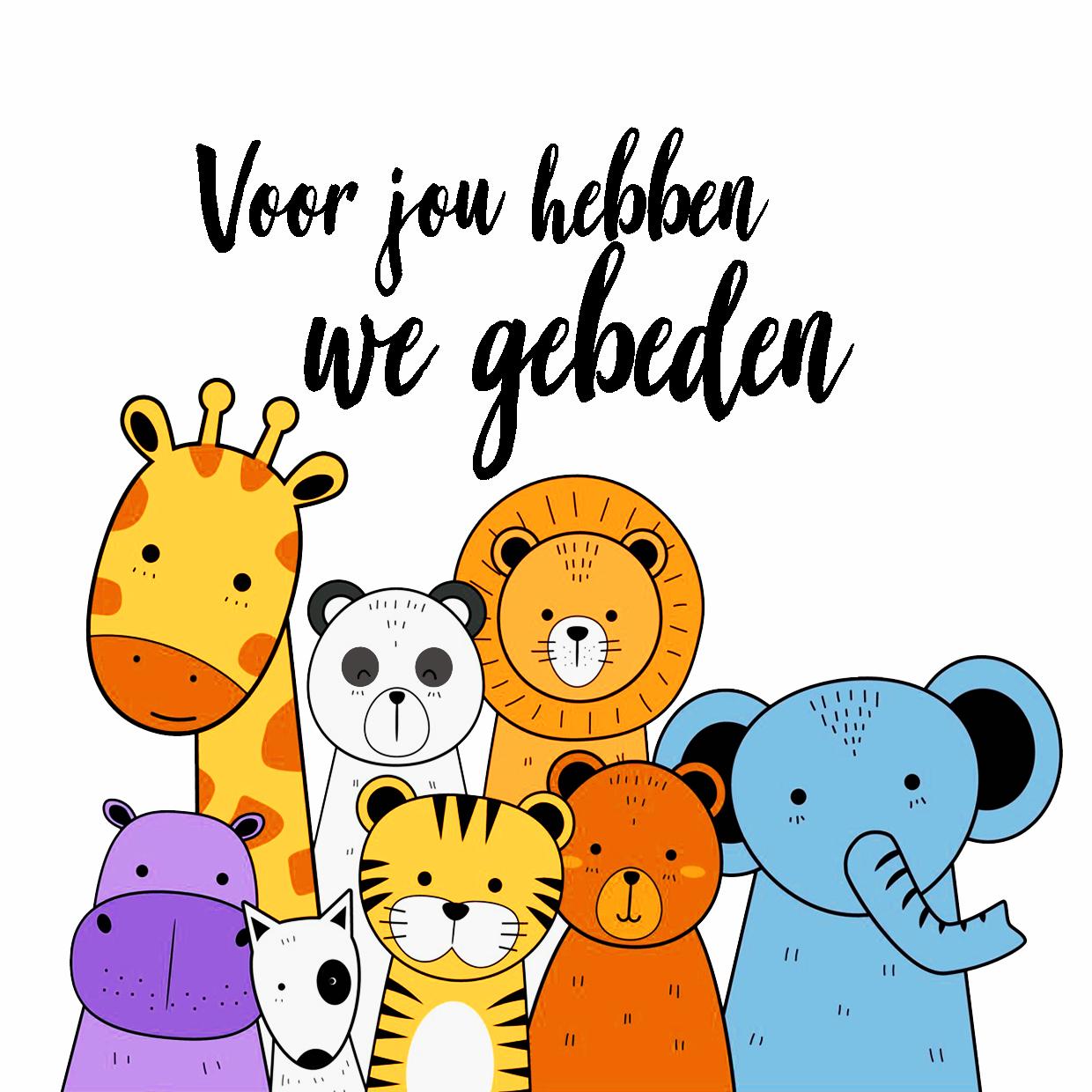 Productafbeelding: voorkant van Voor jou hebben we gebeden