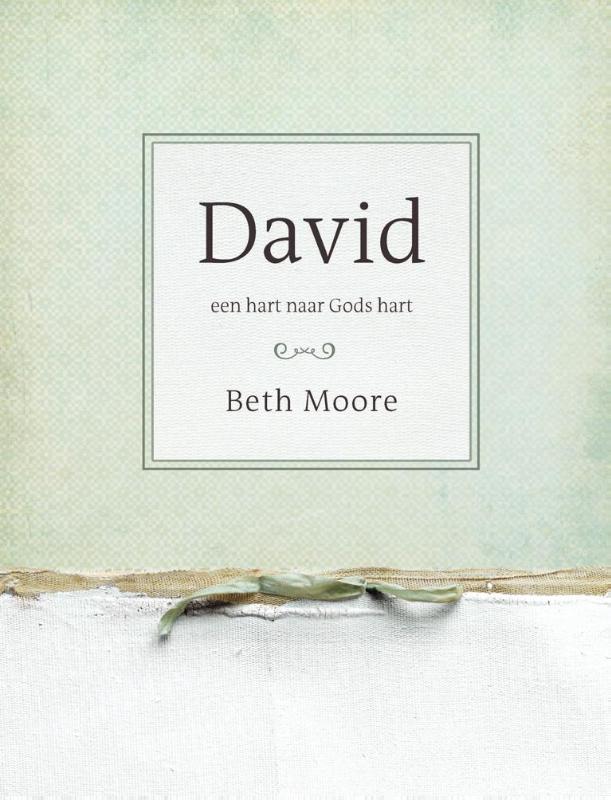 Productafbeelding: voorkant van David Werkboek