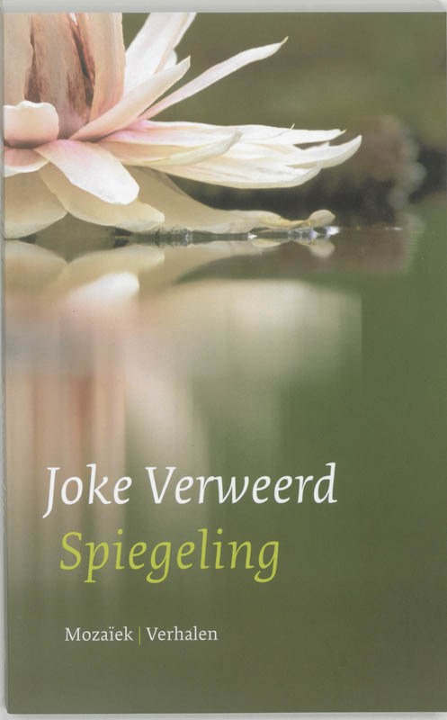Productafbeelding: voorkant van Spiegeling