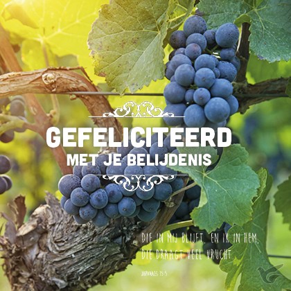 Productafbeelding: voorkant van Kaart gefeliciteerd mj belijdenis rank