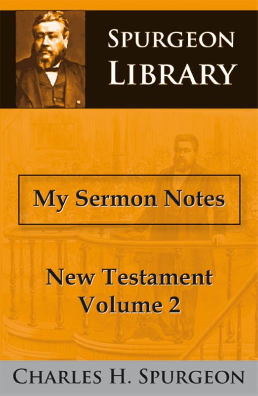 Productafbeelding: voorkant van My Sermon Notes New Testament 2