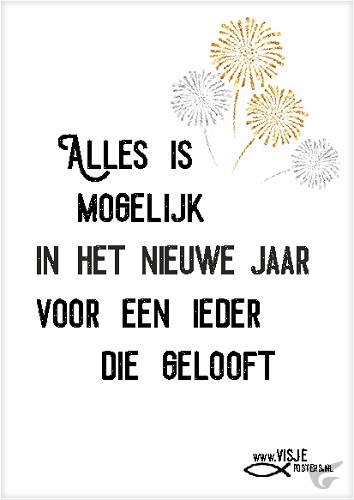 Productafbeelding: voorkant van Alles is in het nieuwe jaar mogelijk