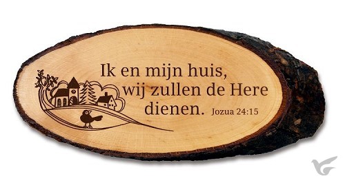 Productafbeelding: voorkant van Boomschijf ik en mijn huis