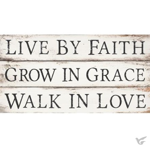 Productafbeelding: voorkant van Live by Faith Grow in Grace Walk in Love
