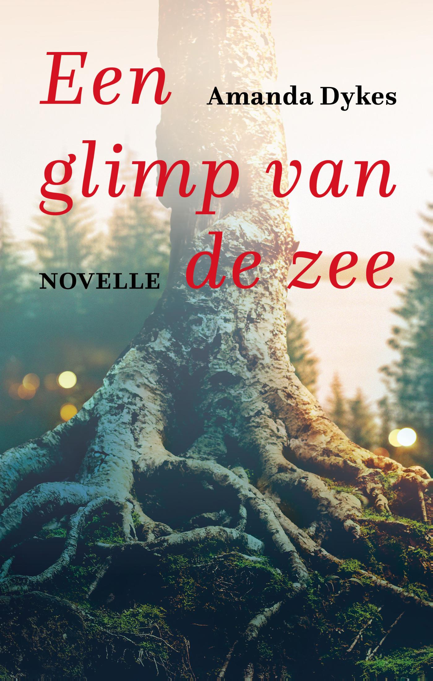 Productafbeelding: voorkant van Een glimp van de zee (e-book)