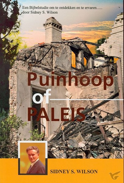 Productafbeelding: voorkant van Puinhoop of paleis
