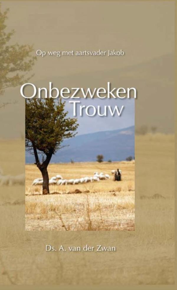 Productafbeelding: voorkant van Onbezweken trouw