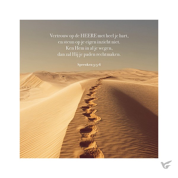 Productafbeelding: voorkant van Kaart Woestijn spreuken 3:5-6