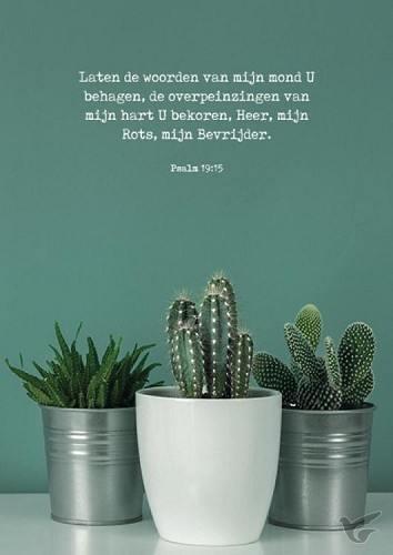 Productafbeelding: voorkant van Poster laten de woorden van mijn mond