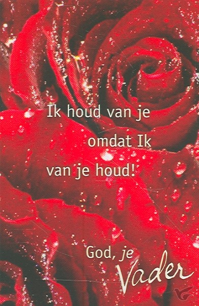 Productafbeelding: voorkant van Minikaart vhk Ik houd van je omdat Ik