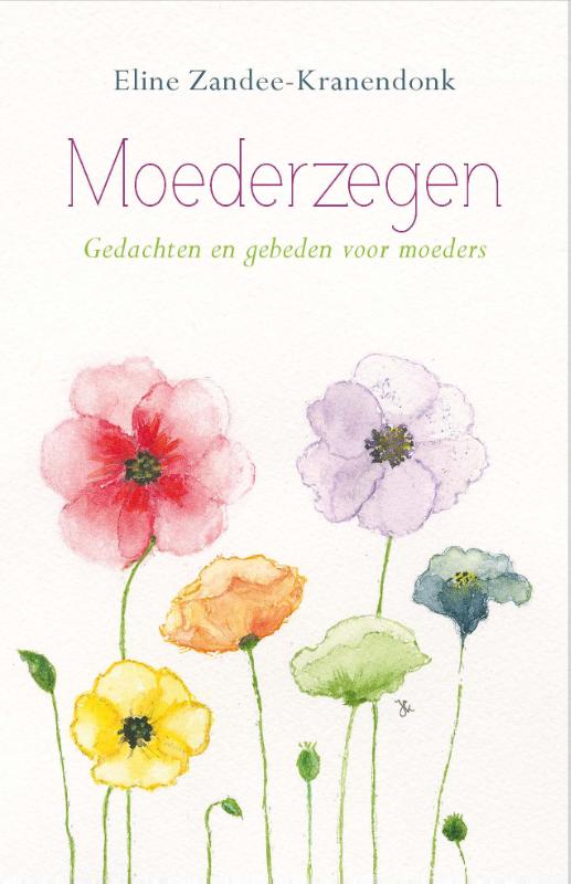 Productafbeelding: voorkant van Moederzegen