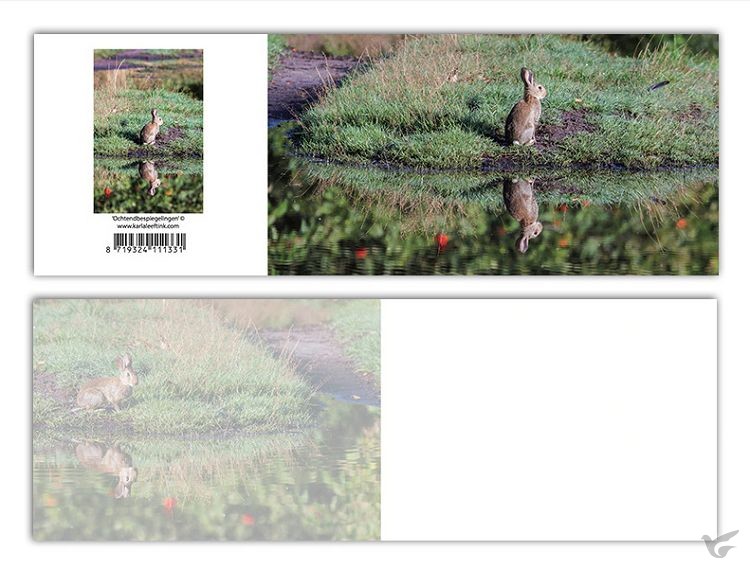 Productafbeelding: voorkant van Panoramawenskaart zt ochtendbespiegelin