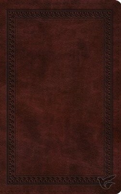 Productafbeelding: voorkant van ESV - Thinline Bible