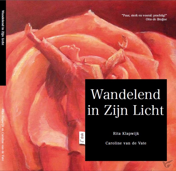 Productafbeelding: voorkant van Wandelend in Zijn licht