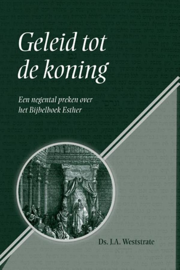 Productafbeelding: voorkant van Geleid tot de koning