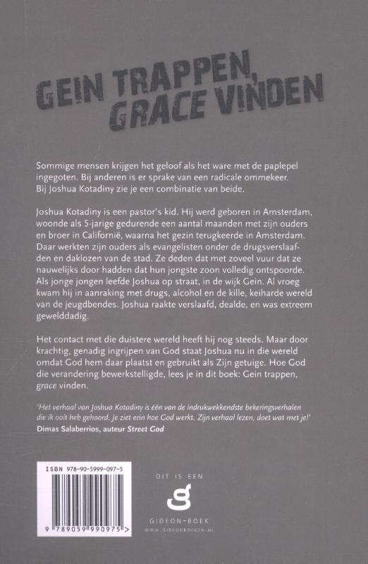 Productafbeelding: achterkant van Gein trappen, grace vinden