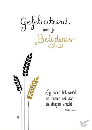 Productafbeelding: voorkant van Kaart gefeliciteerd met je belijdenis
