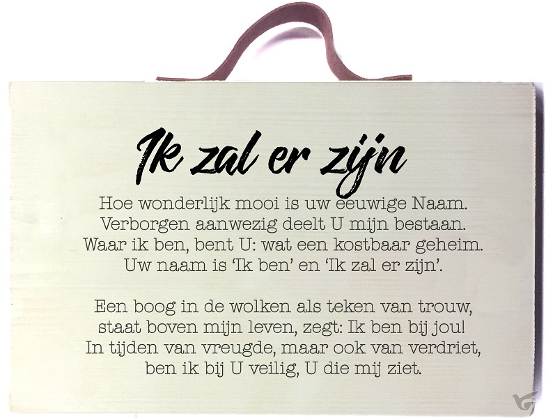 Productafbeelding: voorkant van Ik zal er zijn