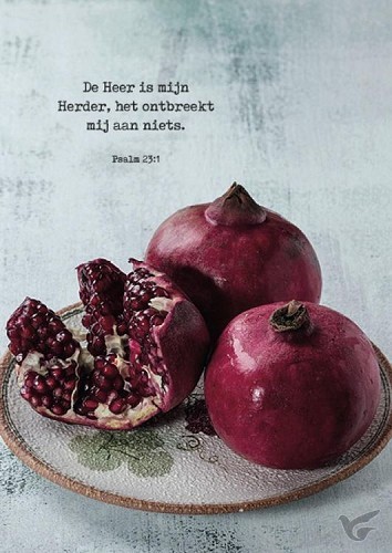 Productafbeelding: voorkant van Poster de Heer is mijn Herder
