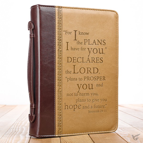 Productafbeelding: voorkant van For I know the plans - LuxLeather