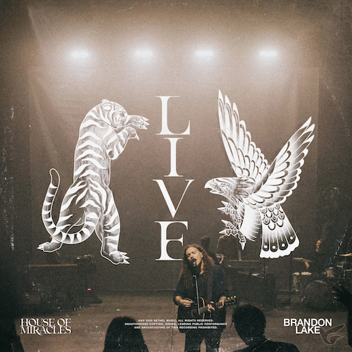 Productafbeelding: voorkant van House of Miracles (Live 2-CD)