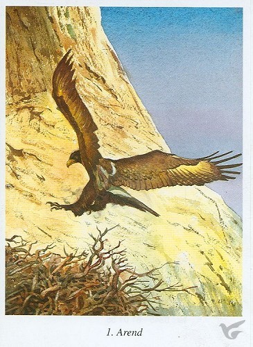 Productafbeelding: voorkant van Bijbelse geschiedenis C plaatjes