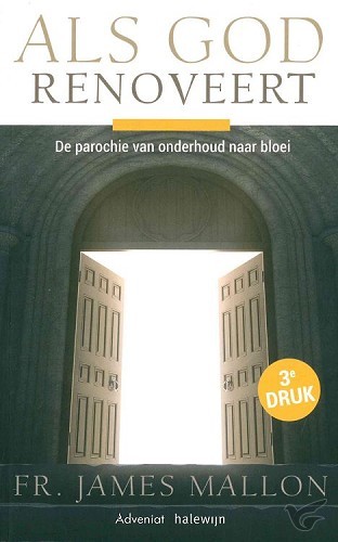 Productafbeelding: voorkant van Als God renoveert