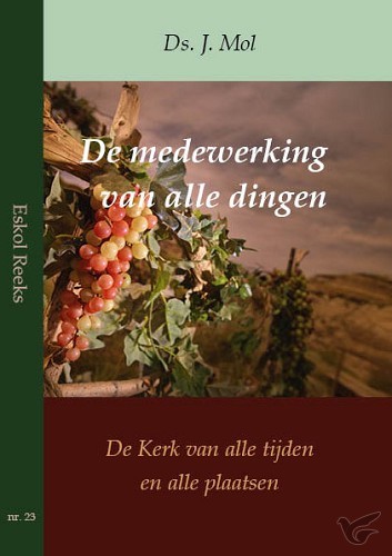 Productafbeelding: voorkant van Medewerking van alle dingen