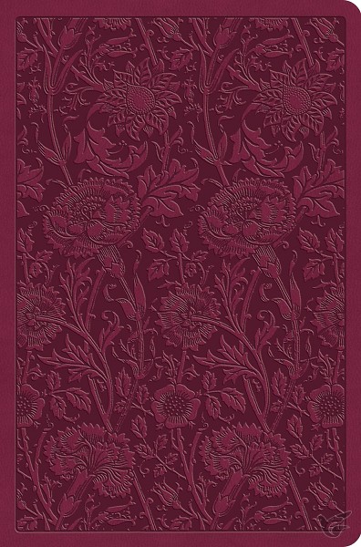 Productafbeelding: voorkant van ESV - Value Compact Bible