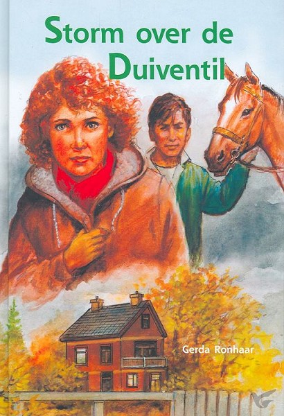 Productafbeelding: voorkant van Storm over de duiventil