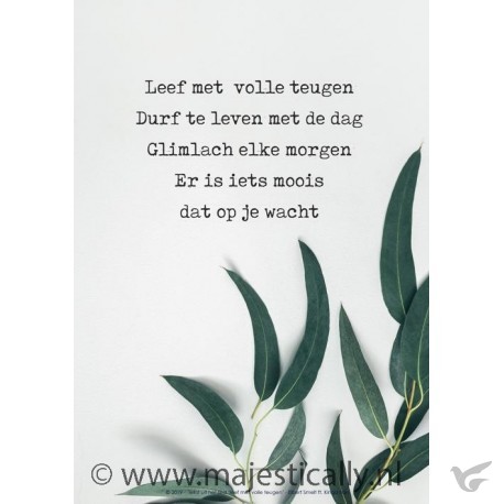 Productafbeelding: voorkant van Poster a3 leef met volle teugen olijfbla