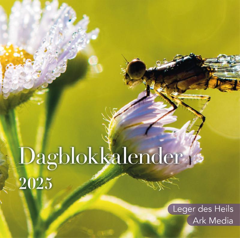 Productafbeelding: voorkant van Dag in dag uit 2025