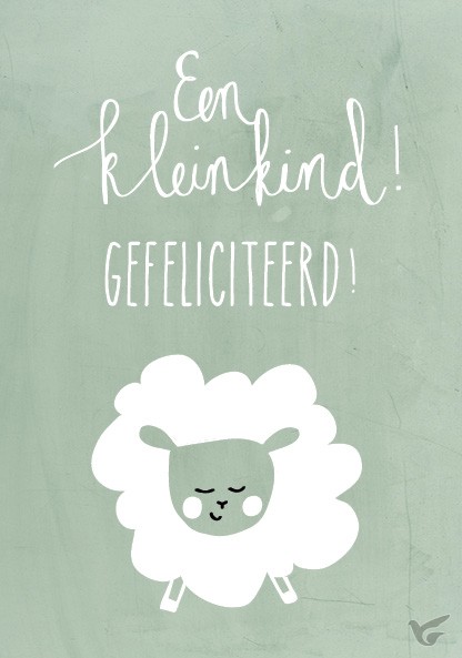 Productafbeelding: voorkant van Wenskaart een kleinkind gefeliciteerd!