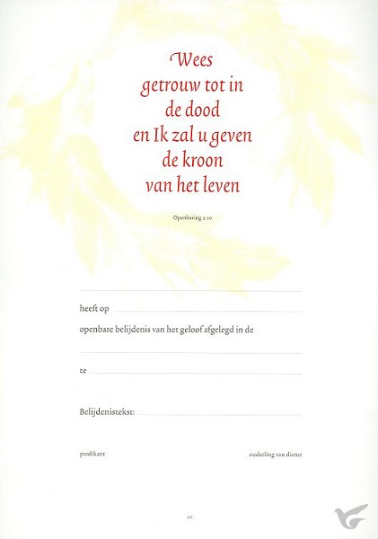 Productafbeelding: voorkant van Belijdeniskaart 301 set 10
